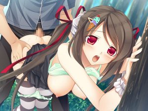 野外セックス（青姦）の二次エロ画像